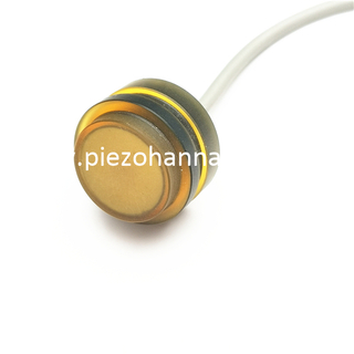 Transduser Pengukur Aliran Ultrasonik Bawah Air 1MHz untuk Pengukur Aliran Ultrasonik