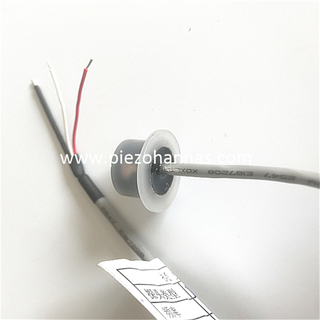 Prilagođeni PVDF kućište ultrazvučnog pretvarača protoka plina za ultrazvučni mjerač plina