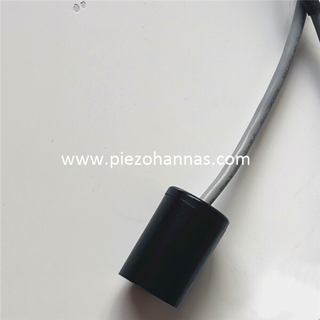 200Khz ultralydstransducersensor, der registrerer vindhastighed og retning for vejrstationer