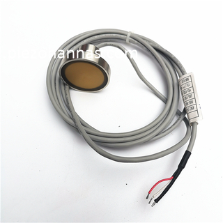 Anpassad 1MHz ADCP Ultrasonic Transducer Piezoelektrisk