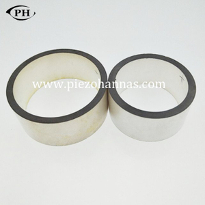 P43-10*5* 2mm f&aacute;inne piezo bimorph actuator bileog