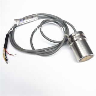 Penderia Transduser Ultrasonik Piezo 1MHz untuk Meter Aliran Ultra Sonic