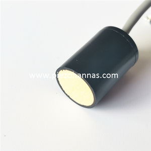Transduser Ultrasonik 125KHz dengan Pemanasan untuk Sensor Level