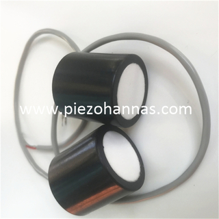 Cumpărați senzor cu traductor de măsurare a distanței cu ultrasunete de 125KHz pentru proximitate 