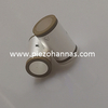 Ultrasuoni piezoelettrici del tubo ceramico piezoelettrico del materiale piezoceramico Pzt