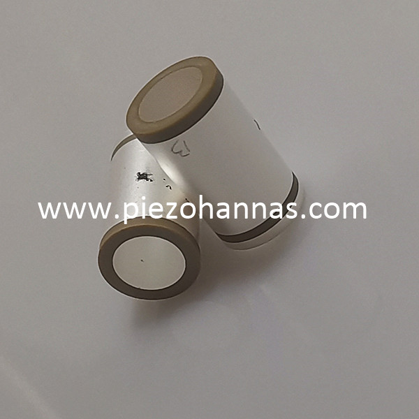 Ultrasuoni piezoelettrici del tubo ceramico piezoelettrico del materiale piezoceramico Pzt