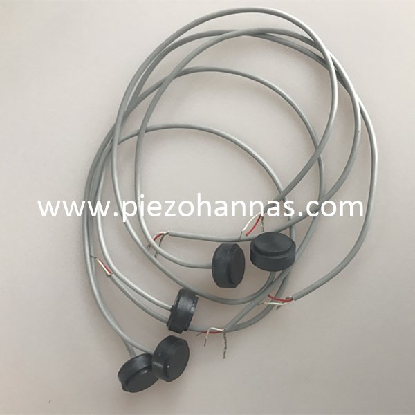 高性能 1MHz 超音波流量計トランスデューサ