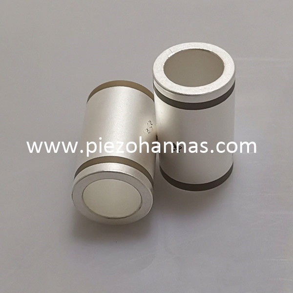 Praghsanna Trasducer Sorc&oacute;ir Ceirmeacha Piezoelectric &Iacute;ogaire
