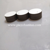 Osta Piezo Disc Sensor Piezo Ceramic Crystals NDT-muuntimelle