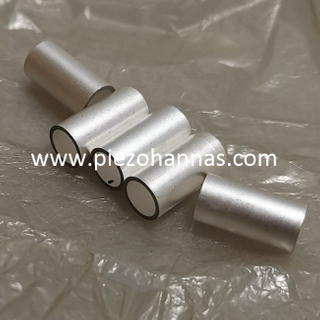 Transduser Silinder Piezoelektrik Pzt5a untuk Mencari Ikan